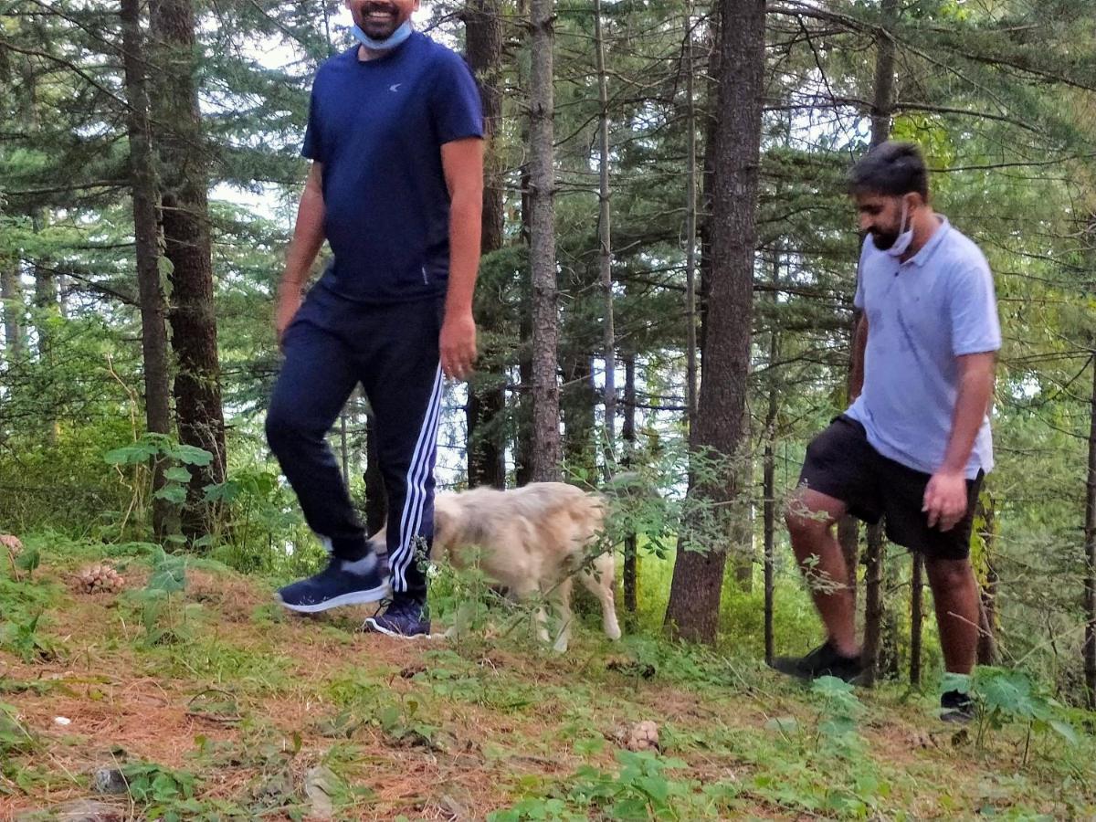 Neha Homestay Шимла Экстерьер фото