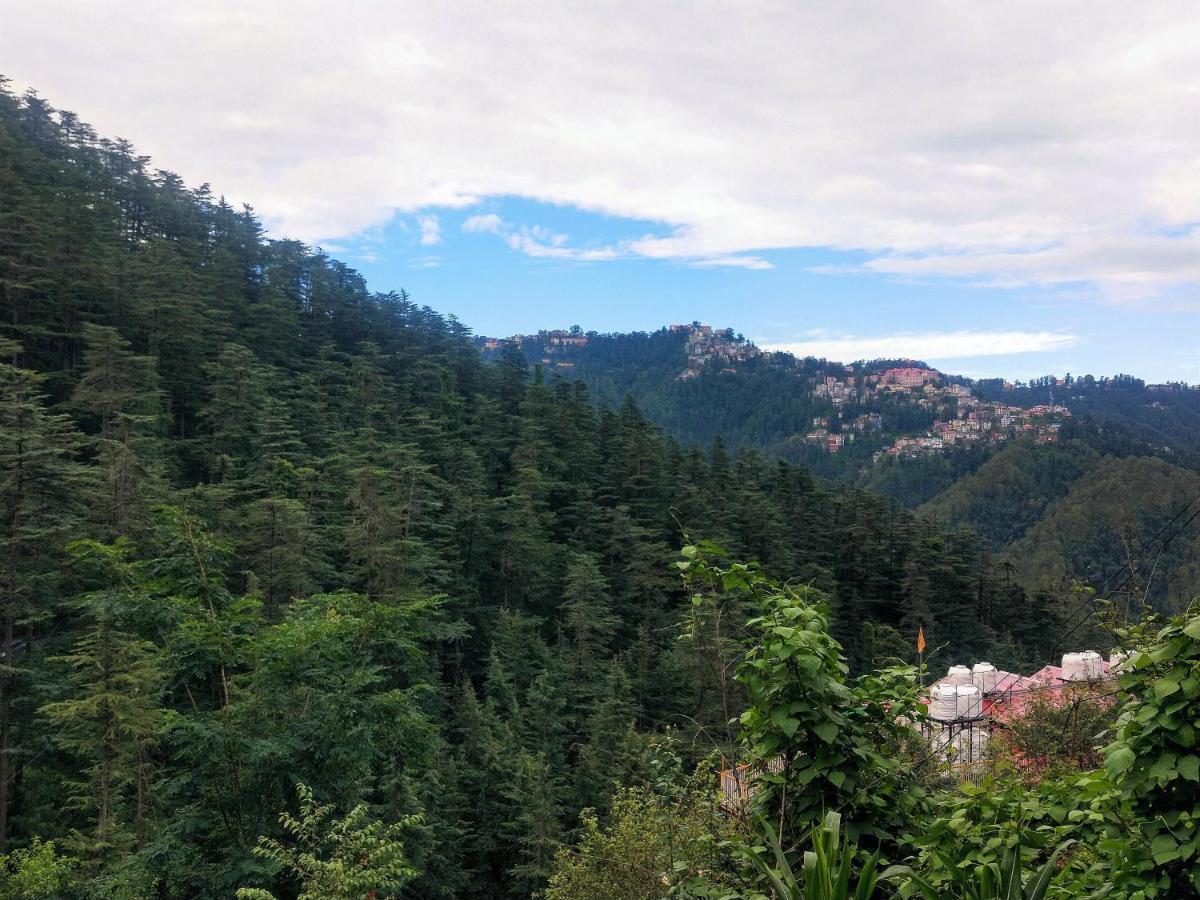 Neha Homestay Шимла Экстерьер фото