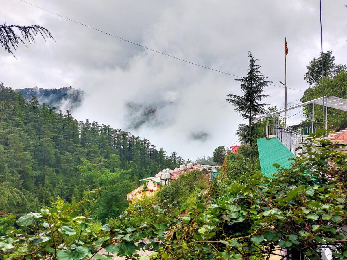 Neha Homestay Шимла Экстерьер фото