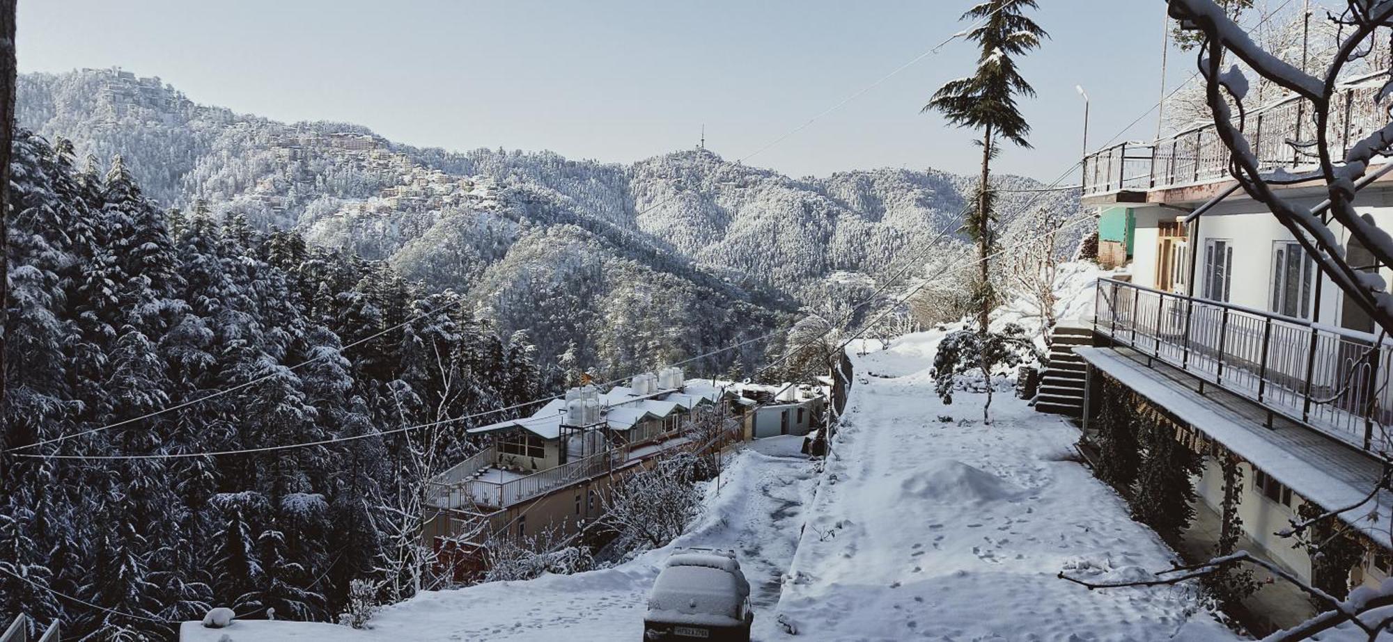 Neha Homestay Шимла Экстерьер фото